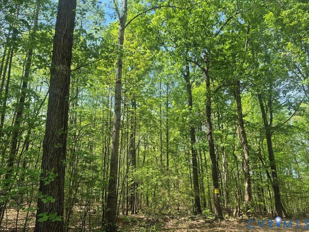 00 Deer Run, Cumberland, VA 23901 Main Photo