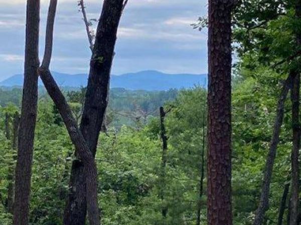 LOT 132 Red Oak Trail, Unit 132, Ellijay, GA 30540