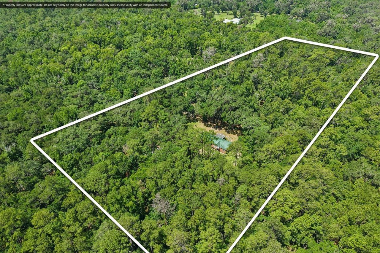 6221 Emerson Road, Brooksville, FL 34601 Photo