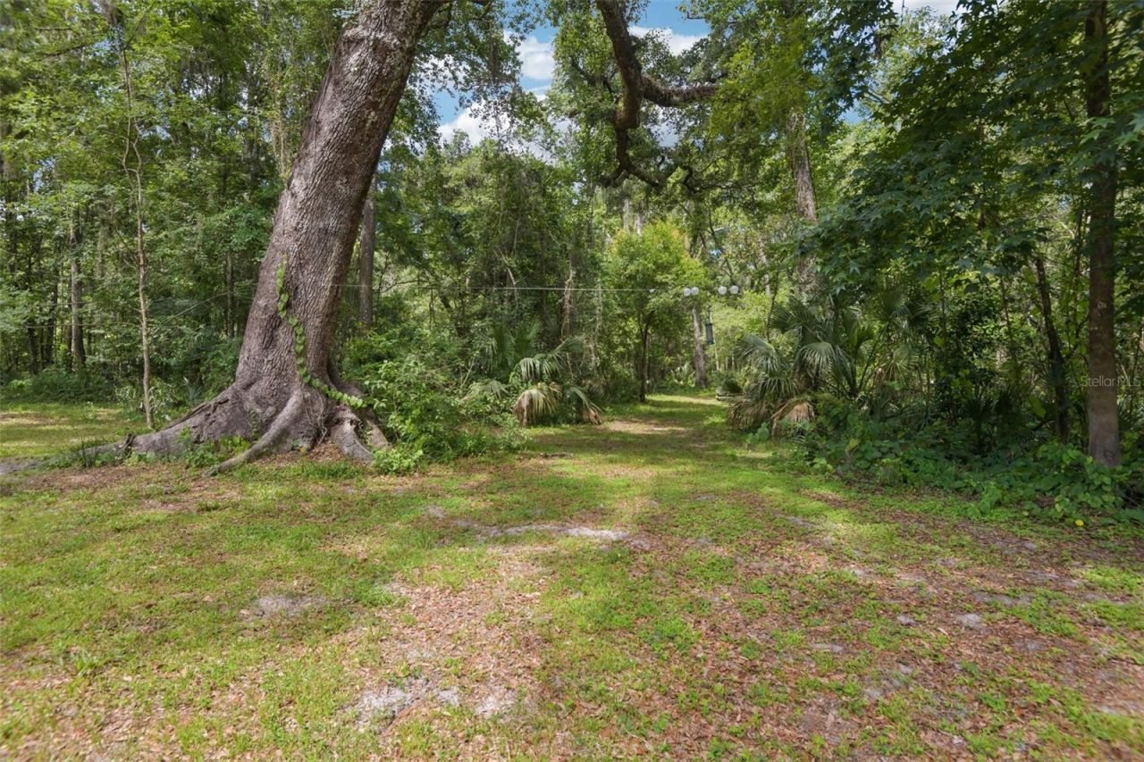6221 Emerson Road, Brooksville, FL 34601 Photo
