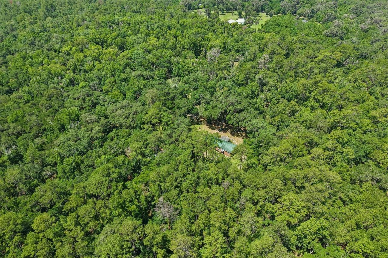 6221 Emerson Road, Brooksville, FL 34601 Photo