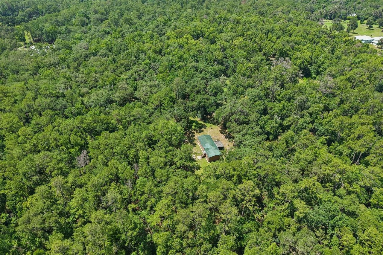 6221 Emerson Road, Brooksville, FL 34601 Photo