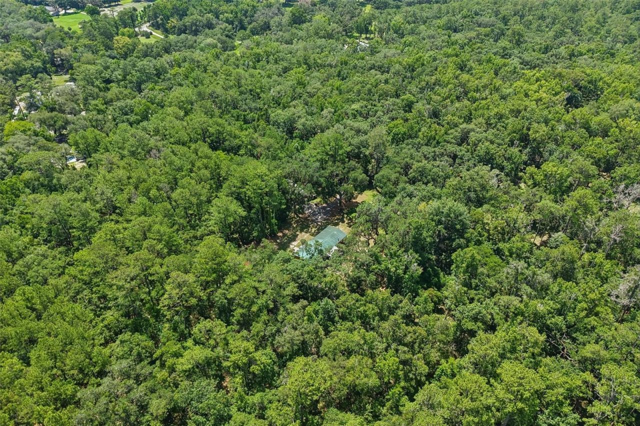 6221 Emerson Road, Brooksville, FL 34601 Photo