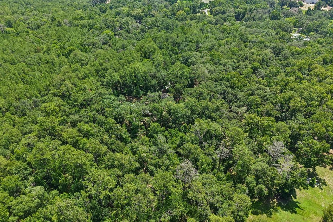 6221 Emerson Road, Brooksville, FL 34601 Photo
