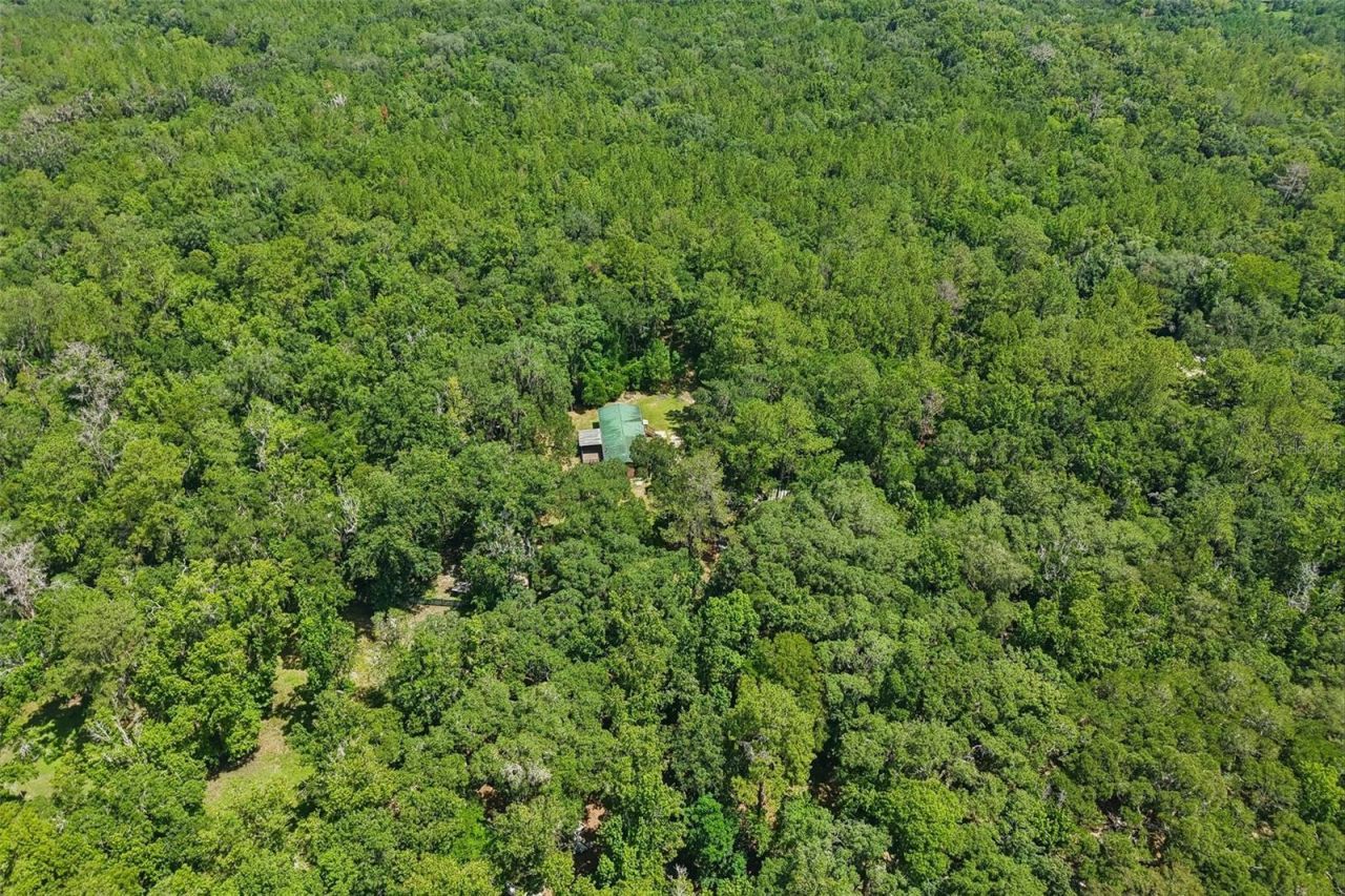 6221 Emerson Road, Brooksville, FL 34601 Photo