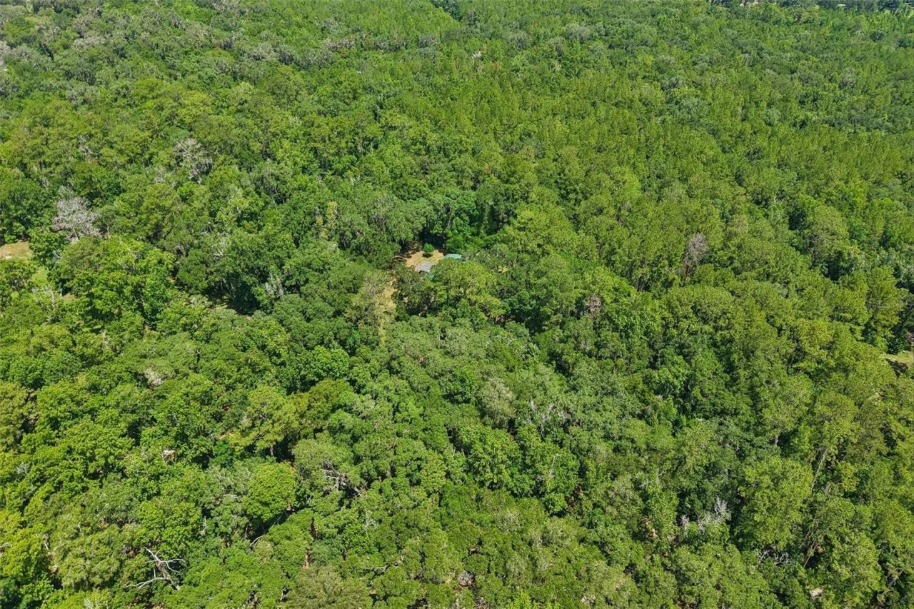 6221 Emerson Road, Brooksville, FL 34601 Photo