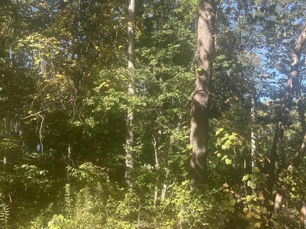 Timothy Drive, Crossville, TN 38572