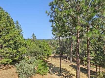 1119 Holly Leaf Ln, Meadow Vista, CA 95722 Photo