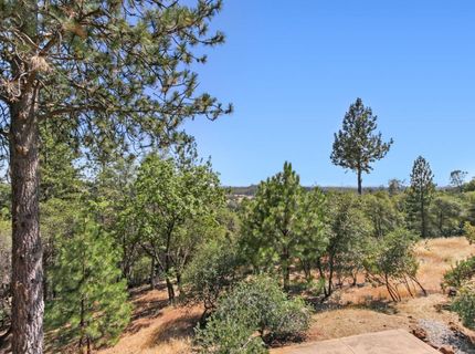 1119 Holly Leaf Ln, Meadow Vista, CA 95722 Photo