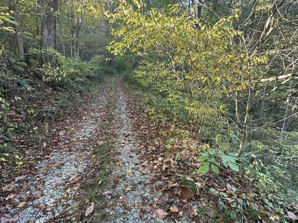 Lot 7 CANNON HILL Road, Rowlesburg, WV 26425