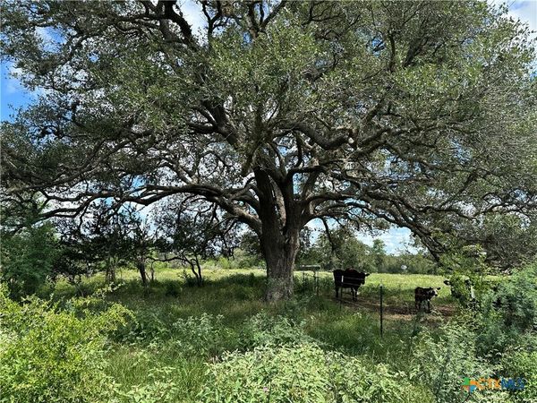 10 Burlin Lane , Meyersville, TX 77974