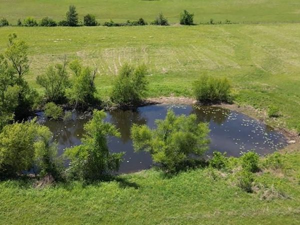 TBD Hwy 24, Paris, TX 75460