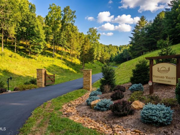 Lot 18 Vineyard Valley Trail, Butler, TN 37640