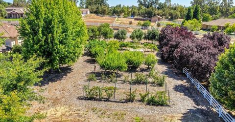 11880 Gidaro Dr, Elk Grove, CA 95624 Photo