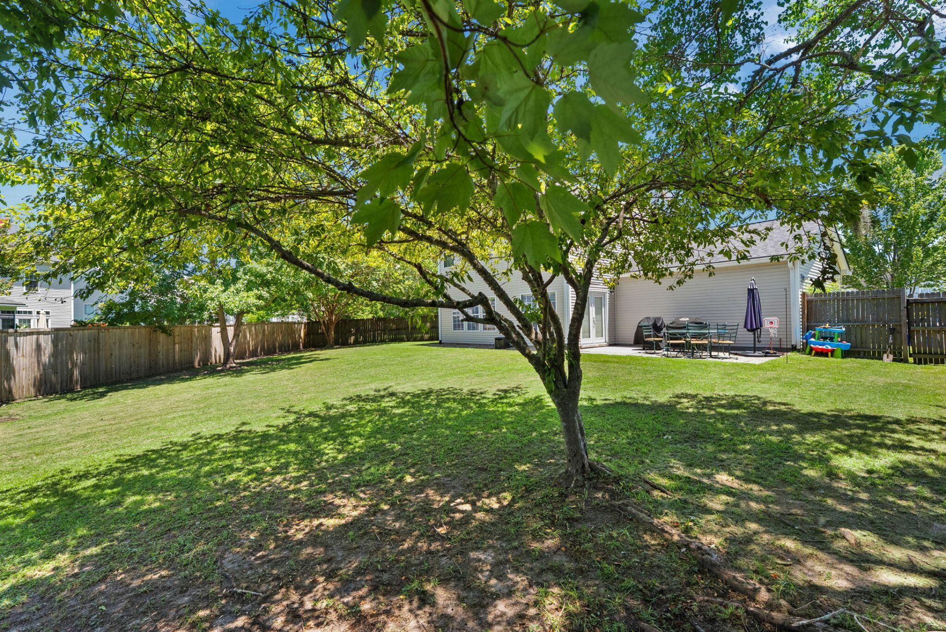 436 Blue Jasmine Lane Photo 30