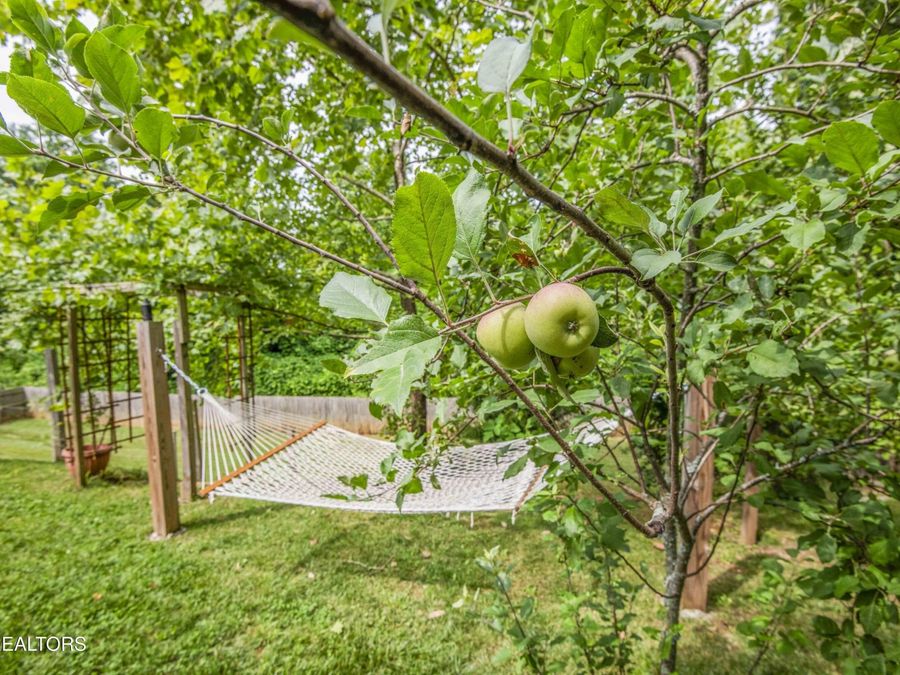 Property Image 53