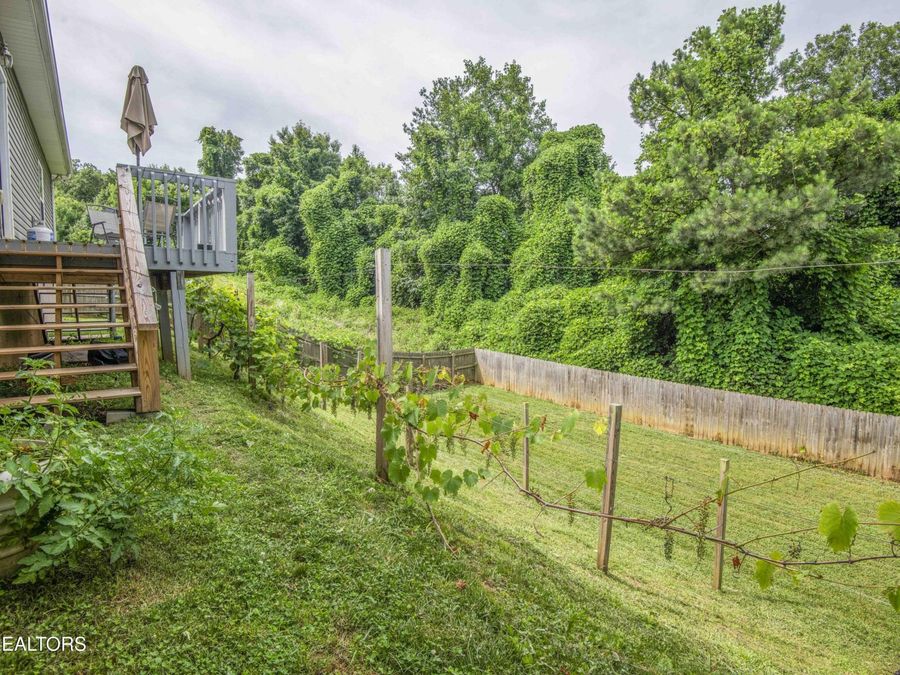 Property Image 55