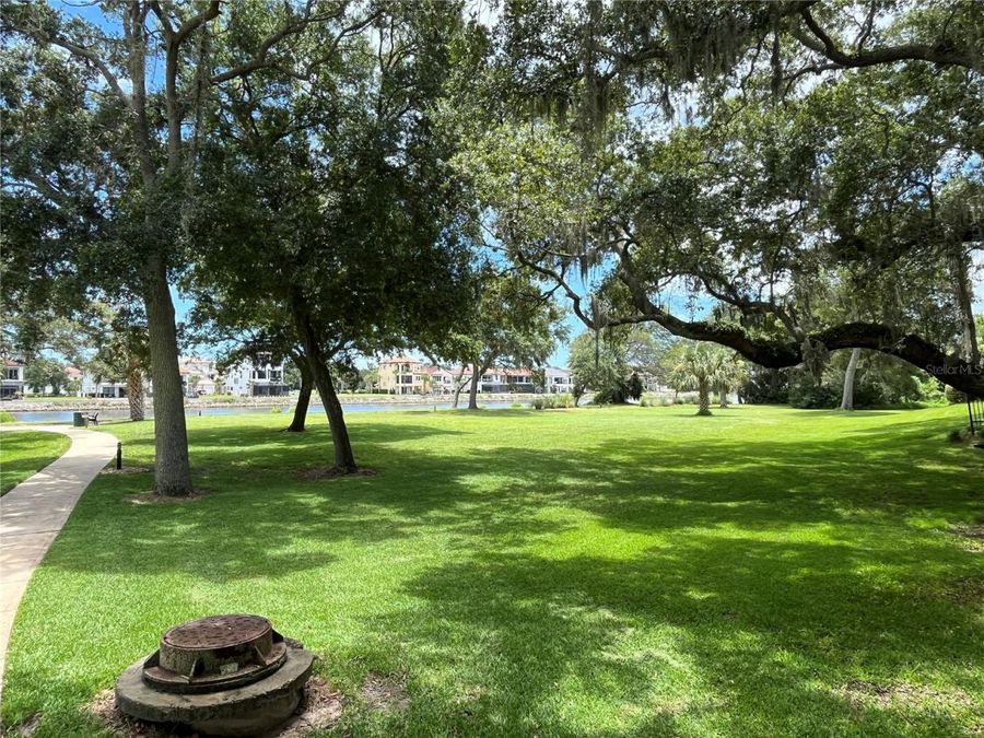 Property Image 62