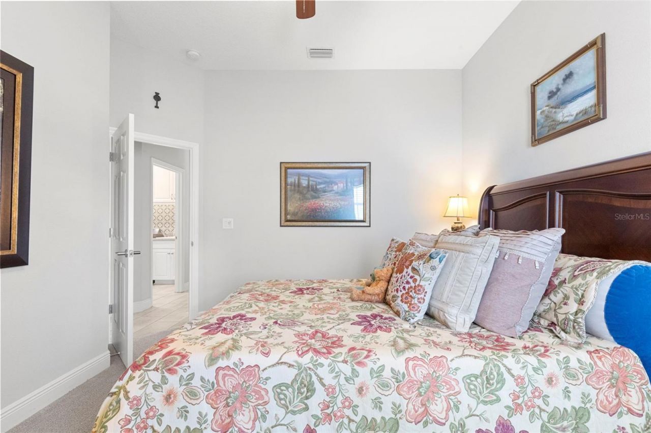 13340 Fawn Lily Drive, Riverview, FL 33579 Photo