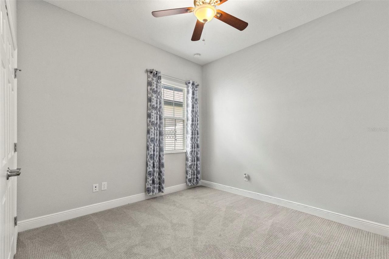 13340 Fawn Lily Drive, Riverview, FL 33579 Photo
