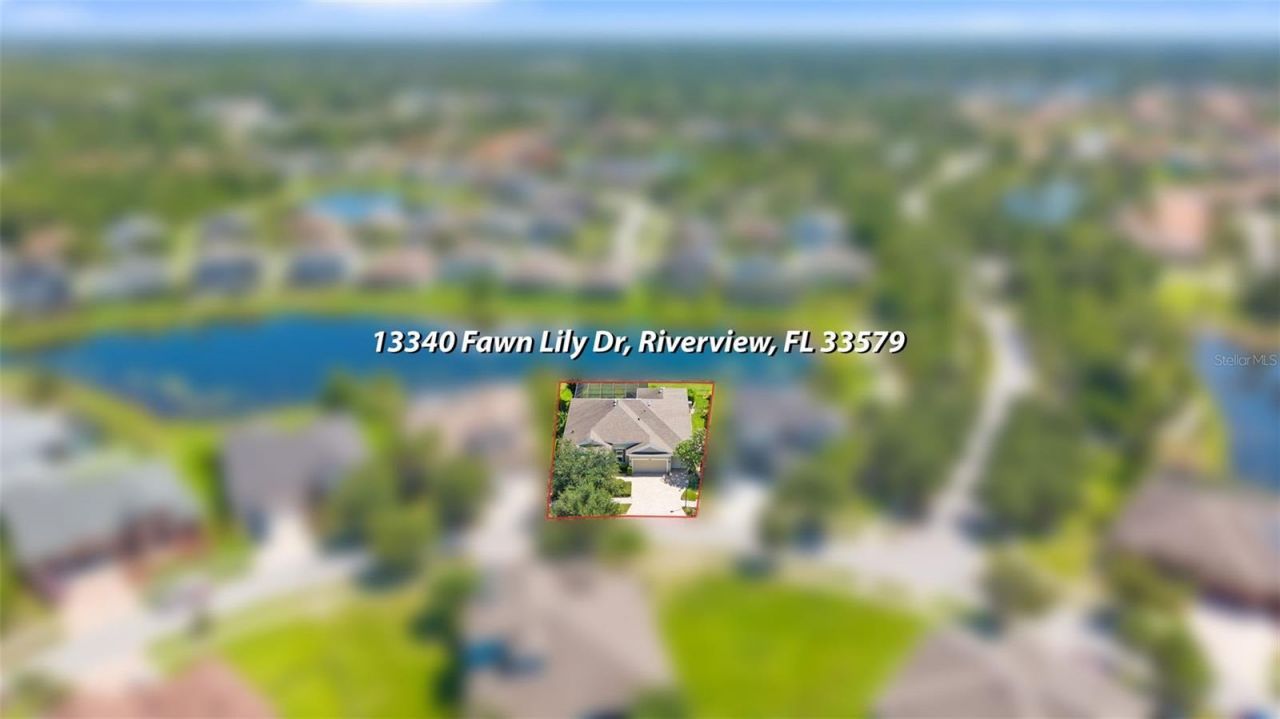 13340 Fawn Lily Drive, Riverview, FL 33579 Photo