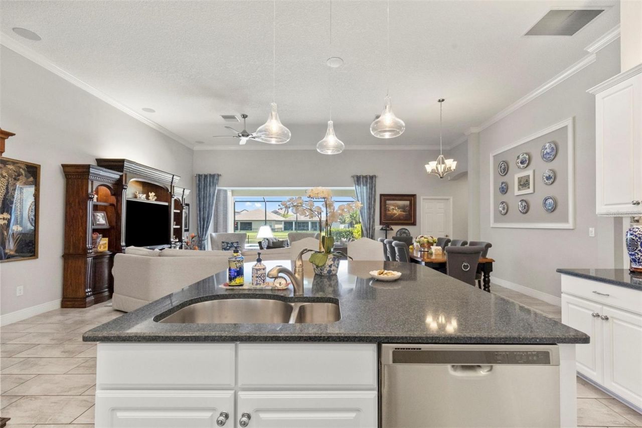 13340 Fawn Lily Drive, Riverview, FL 33579 Photo
