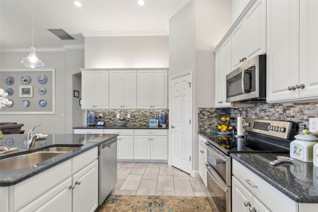 13340 Fawn Lily Drive, Riverview, FL 33579 Photo