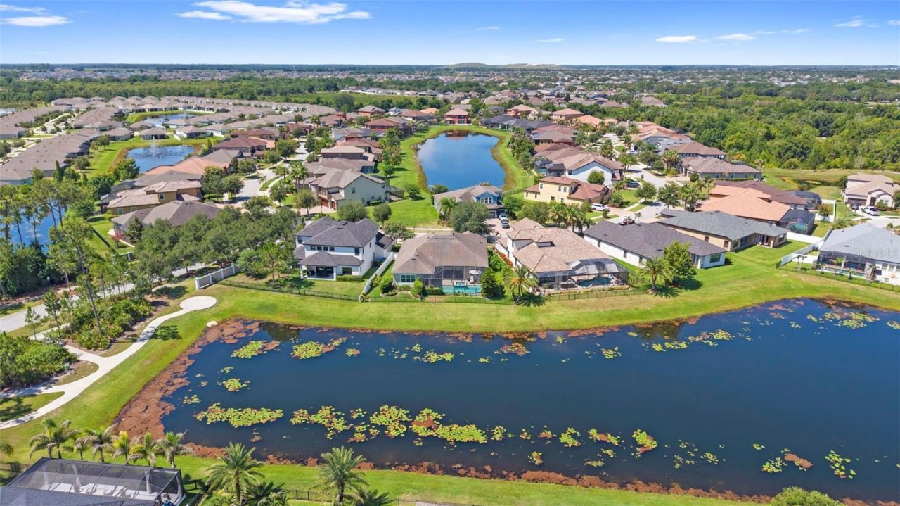 13340 Fawn Lily Drive, Riverview, FL 33579 Photo