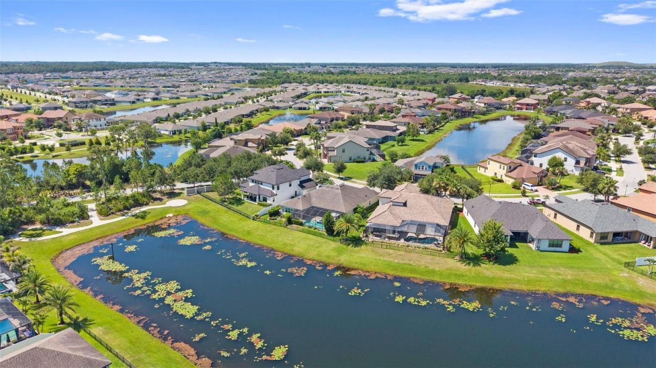 13340 Fawn Lily Drive, Riverview, FL 33579 Photo