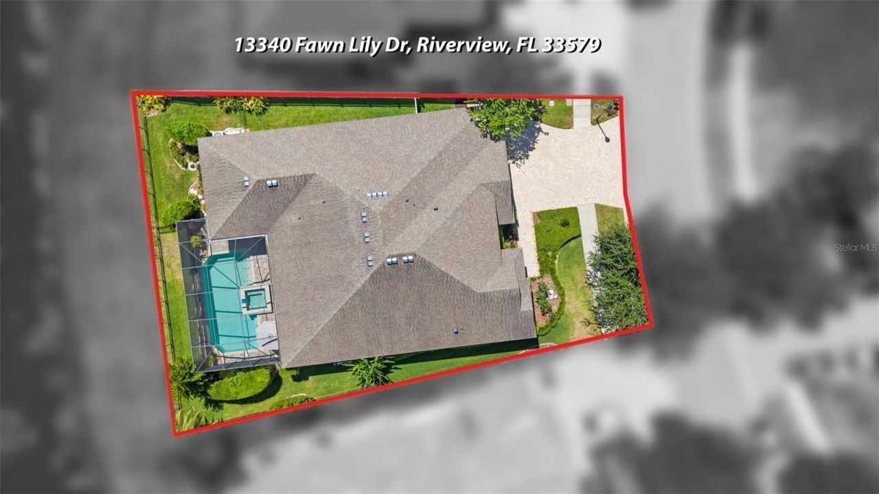 13340 Fawn Lily Drive, Riverview, FL 33579 Photo