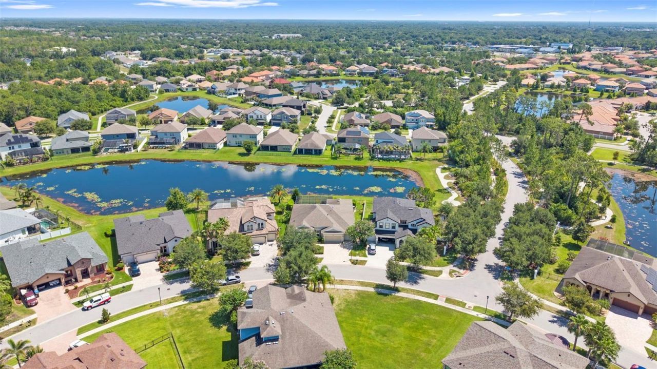 13340 Fawn Lily Drive, Riverview, FL 33579 Photo