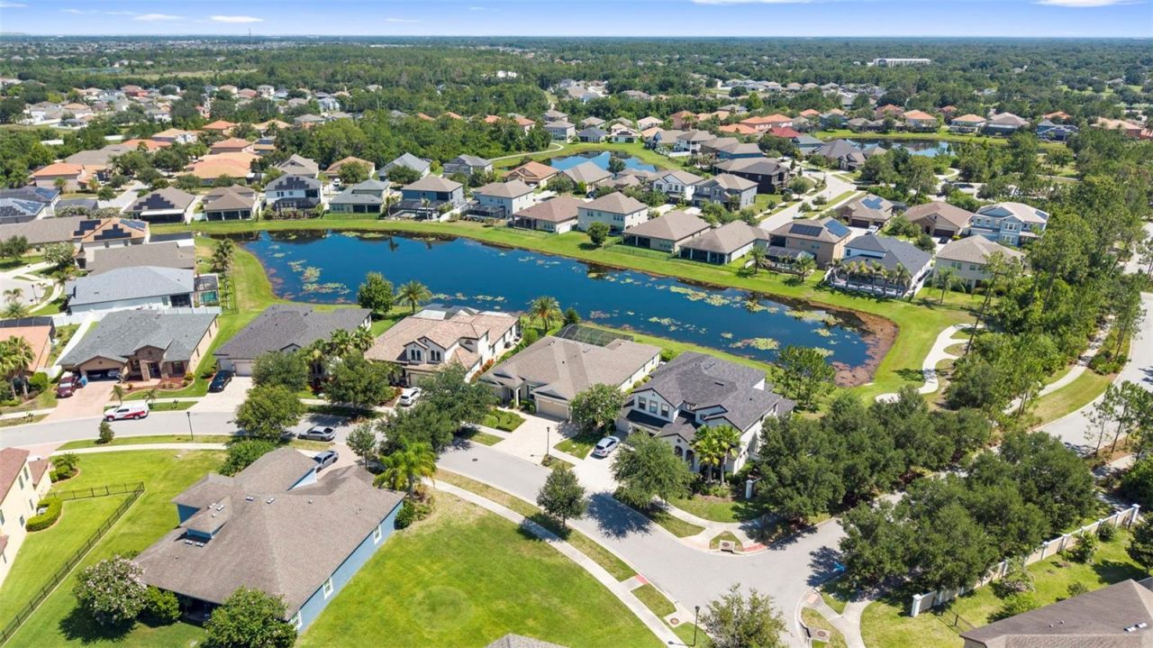 13340 Fawn Lily Drive, Riverview, FL 33579 Photo