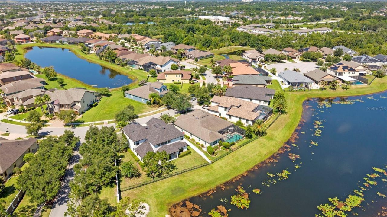 13340 Fawn Lily Drive, Riverview, FL 33579 Photo