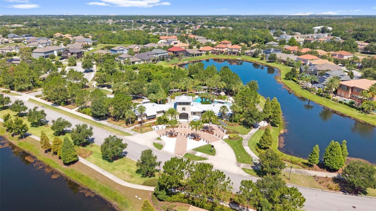 13340 Fawn Lily Drive, Riverview, FL 33579 Photo