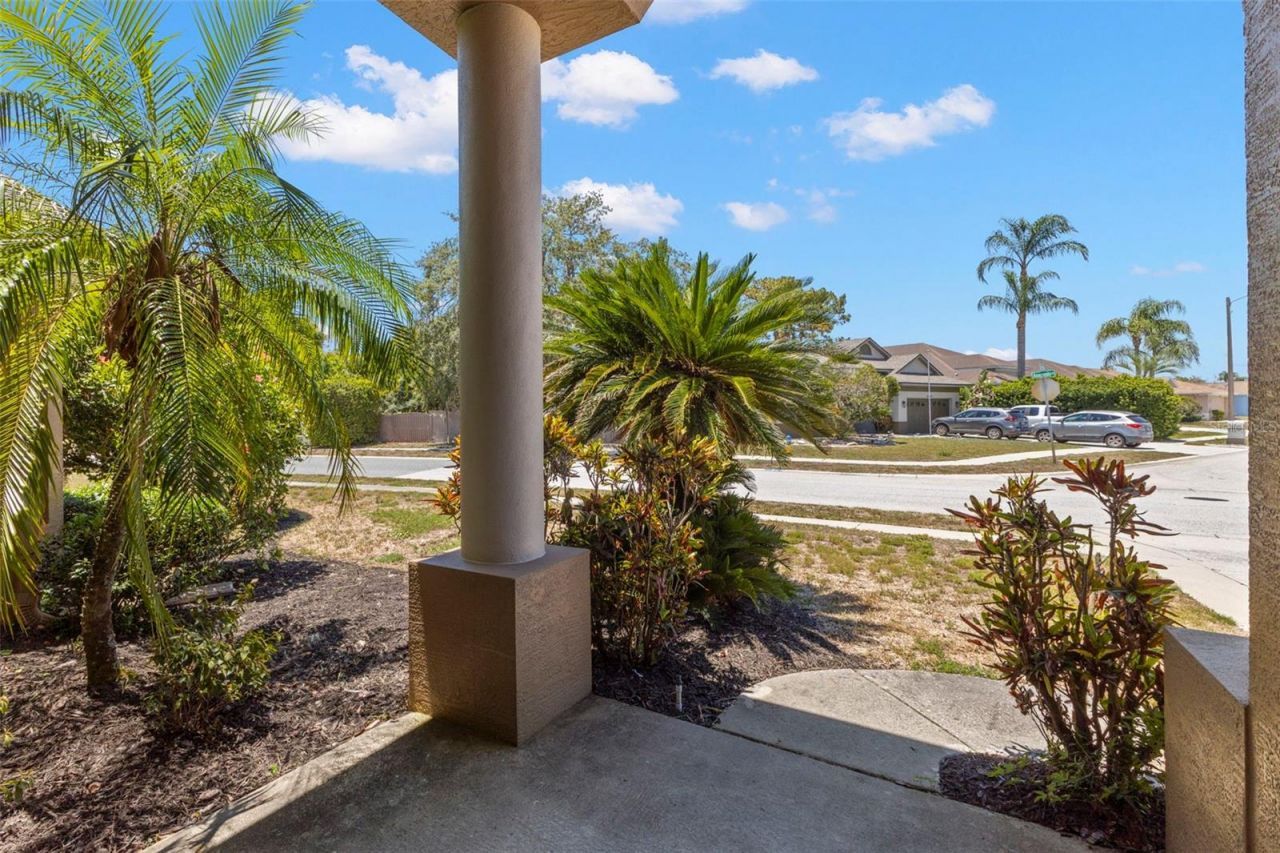 4638 Anaconda Drive , New Port Richey, FL 34655 Photo