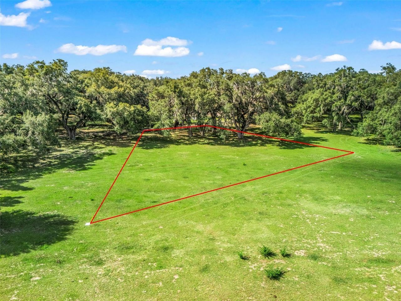 Lot 11 Cr 543, Bushnell, FL 33513 Main Photo