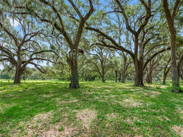 Lot 12 CR 543 , BUSHNELL, FL 33513