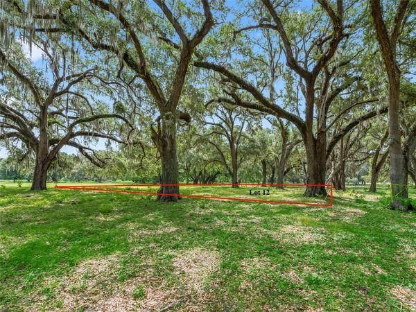 Lot 12 CR 543 , BUSHNELL, FL 33513
