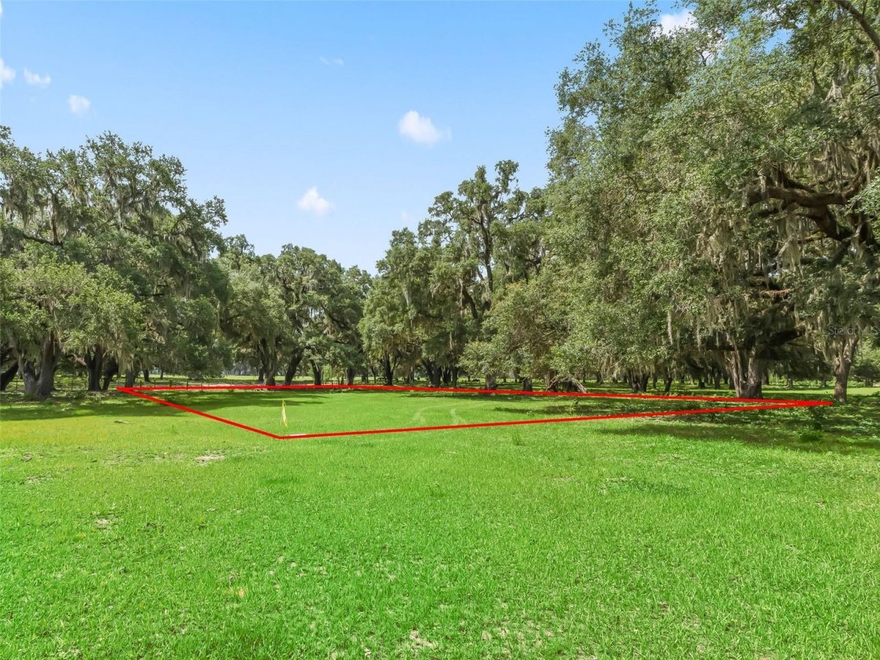 Lot 12 Cr 543 , Bushnell, FL 33513 Photo