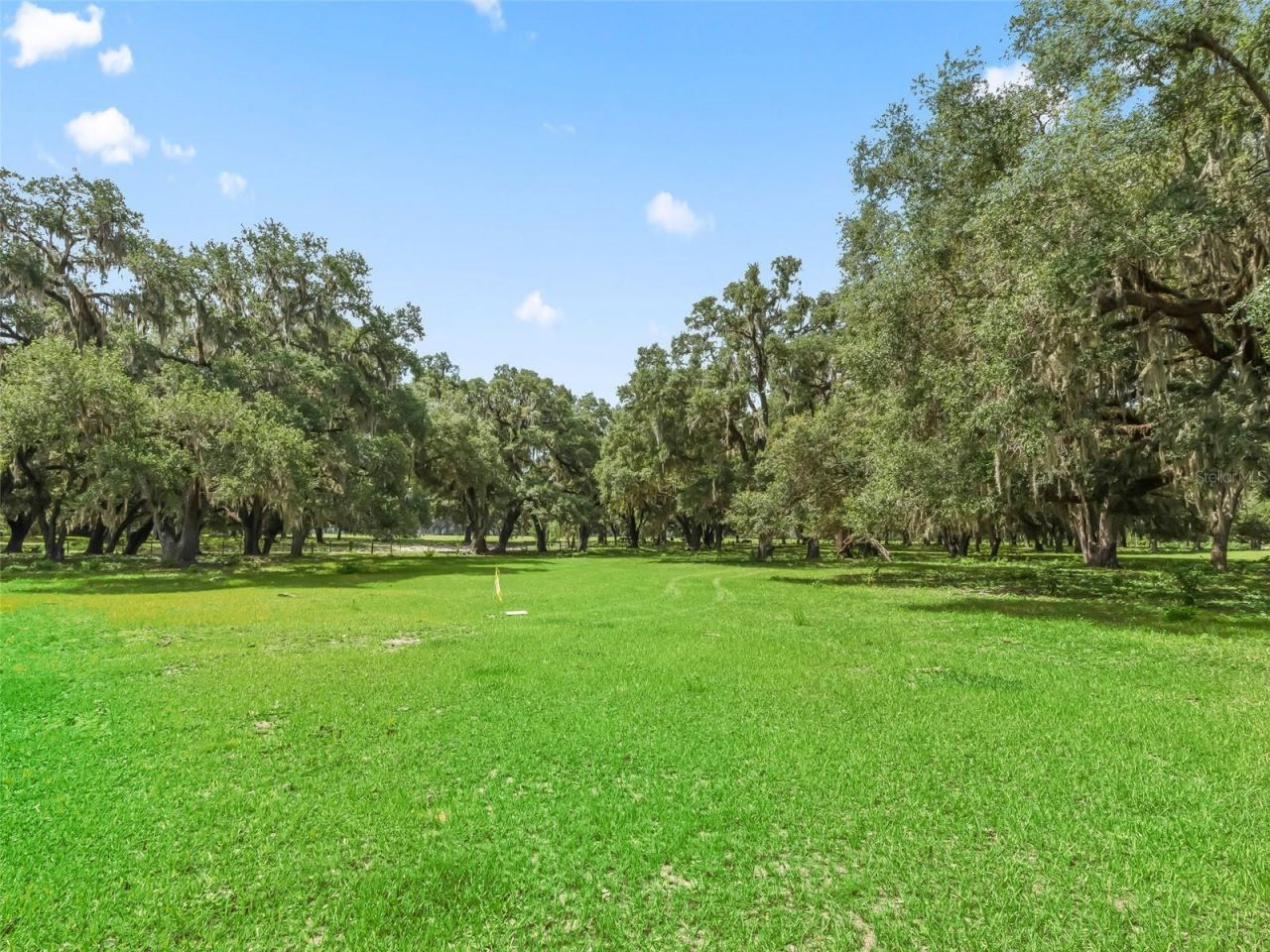 Lot 12 Cr 543 , Bushnell, FL 33513 Photo
