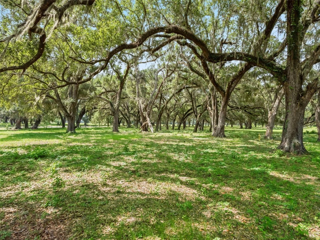 Lot 12 Cr 543 , Bushnell, FL 33513 Photo