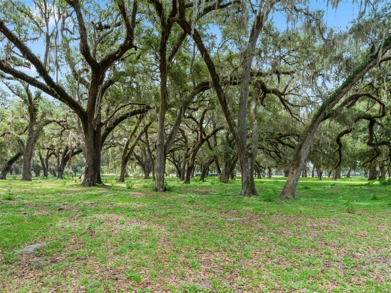 Lot 12 Cr 543 , Bushnell, FL 33513 Photo