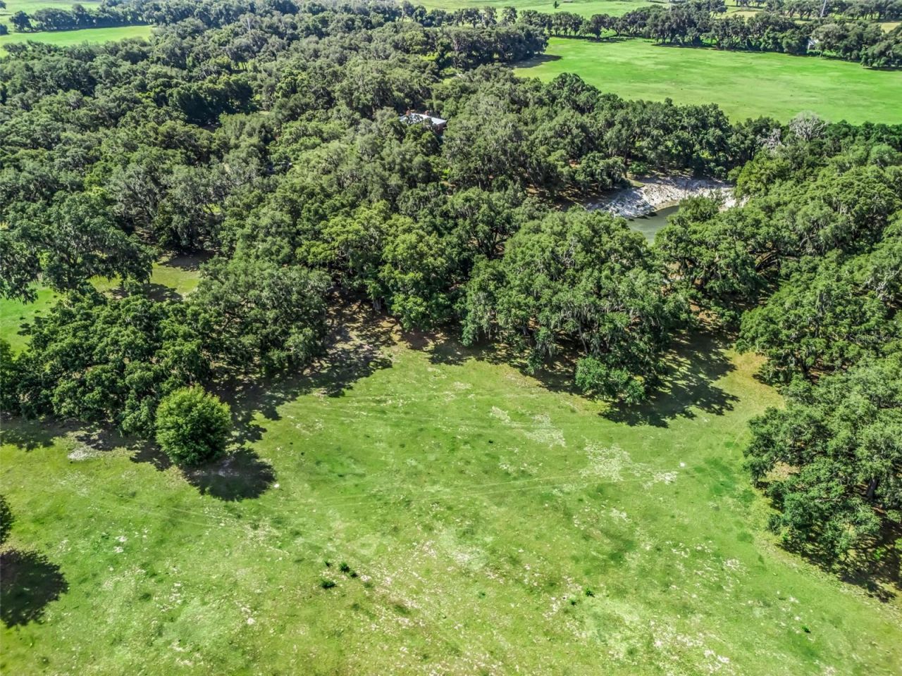 Lot 12 Cr 543 , Bushnell, FL 33513 Photo