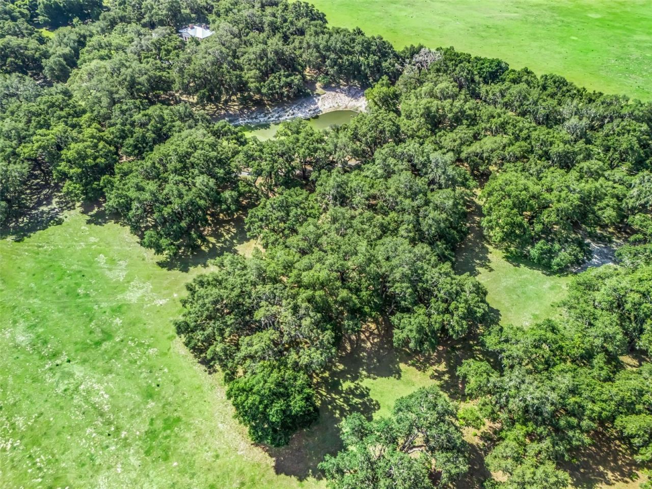 Lot 12 Cr 543 , Bushnell, FL 33513 Photo
