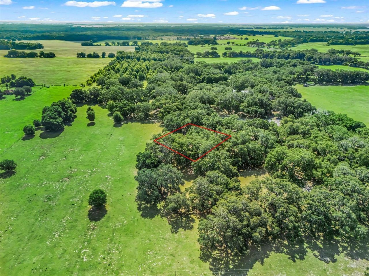 Lot 12 Cr 543 , Bushnell, FL 33513 Photo