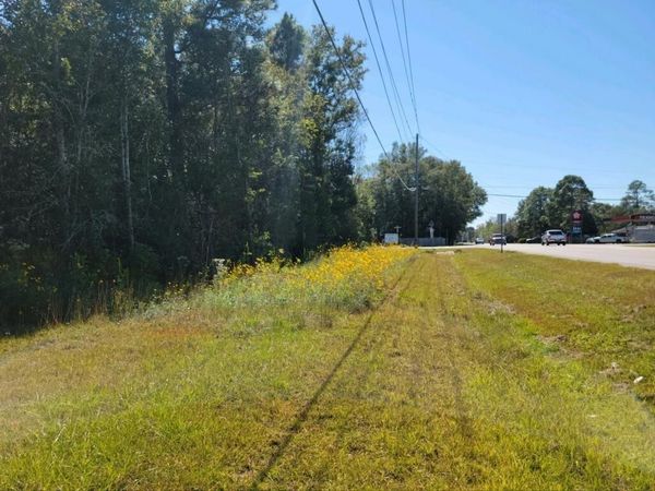 2 Two Mile Road , Irvington, AL 36544