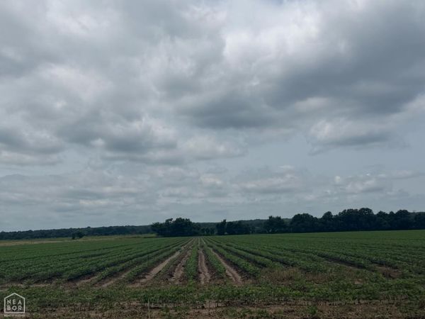 78 Pineview Rd/Benson Ln, Trumann, AR 72472