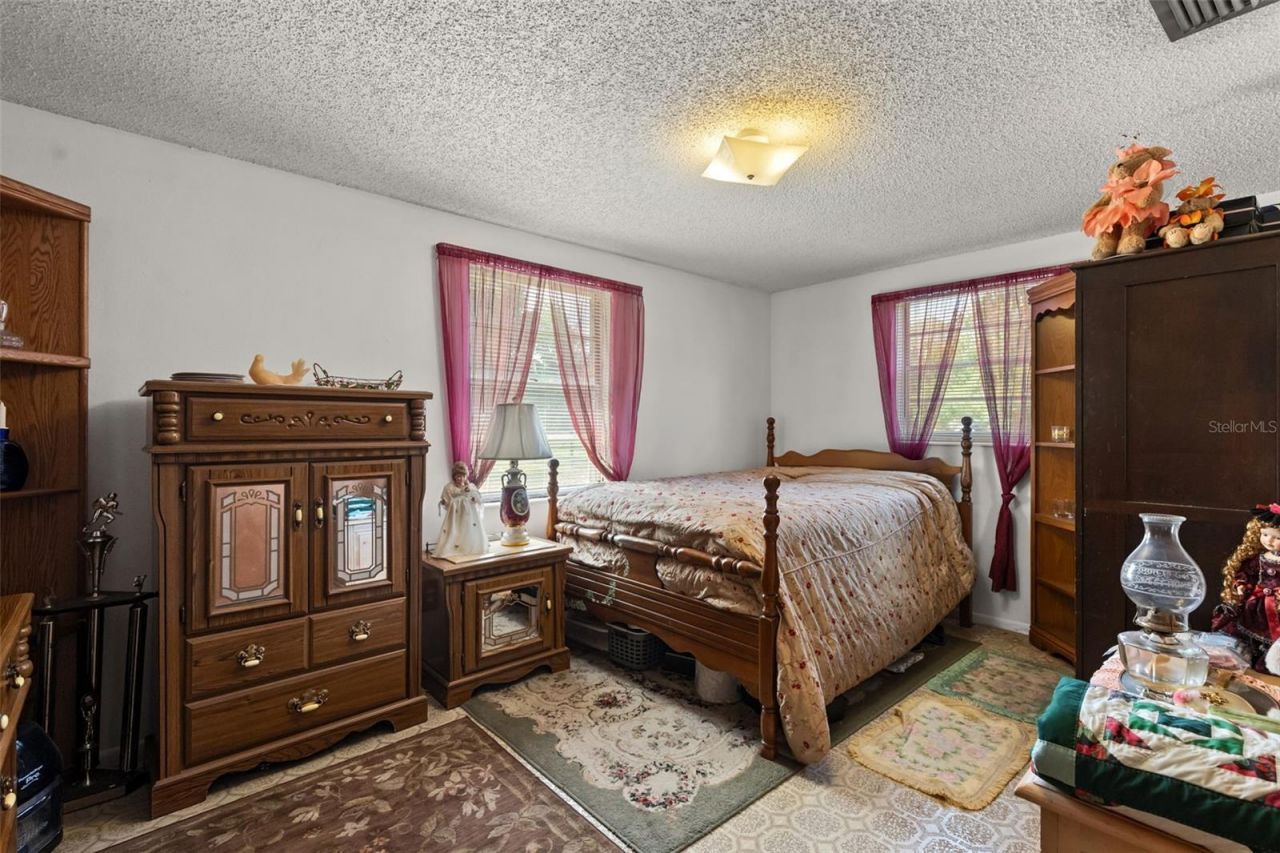 12631 Hobson Simmons Road, Lithia, FL 33547 Photo