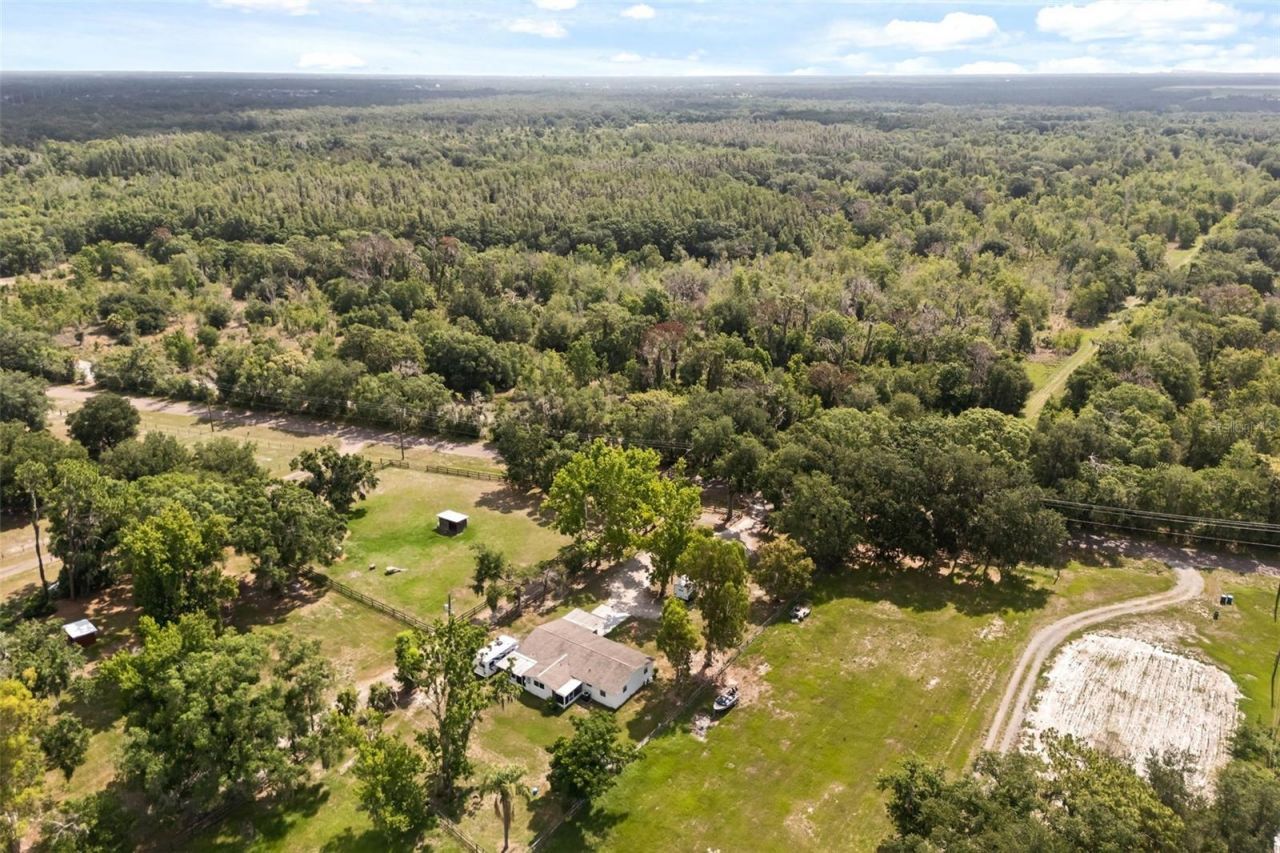 12631 Hobson Simmons Road, Lithia, FL 33547 Photo