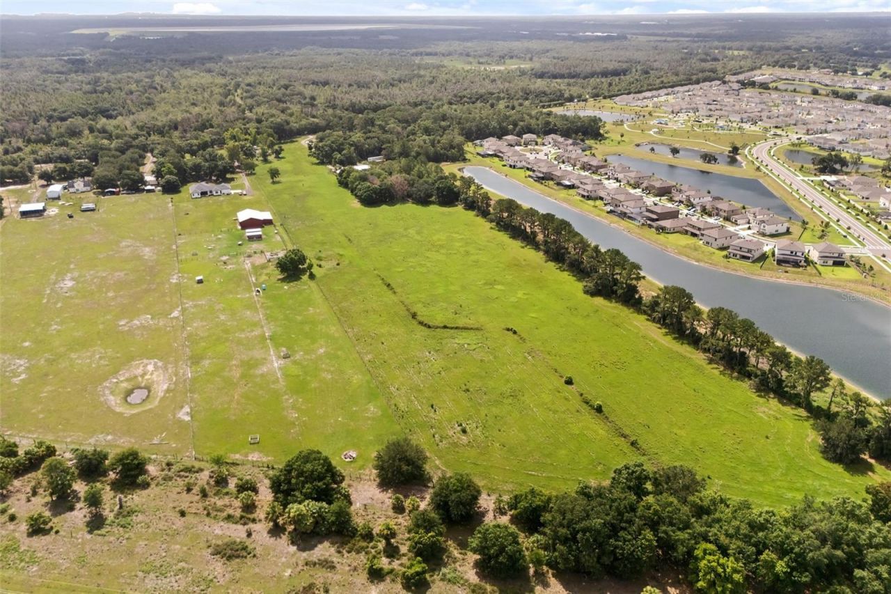 12631 Hobson Simmons Road, Lithia, FL 33547 Photo